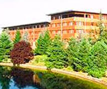 Disney Hotel Sequoia