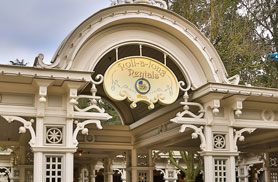 Stroller and Wheelchairs Rentals